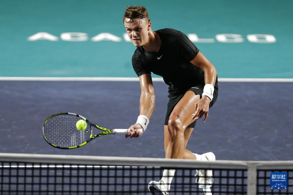 的奋力奔跑 的奋力奔跑