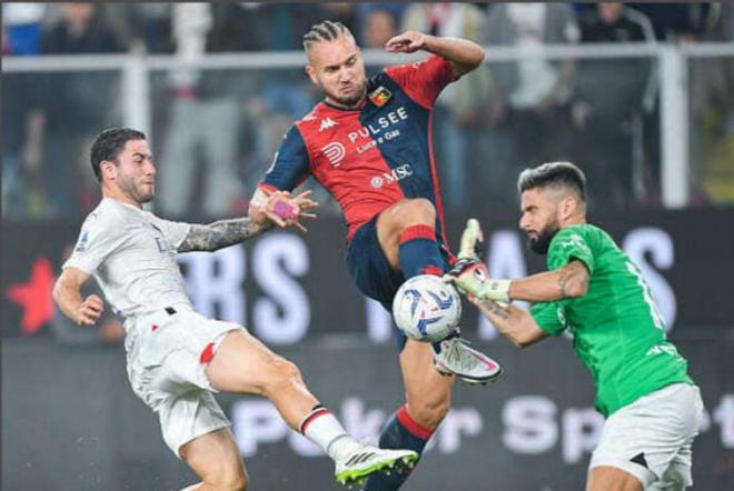 跑的种子 跑的种子